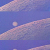 Daytime Occultation of Jupiter