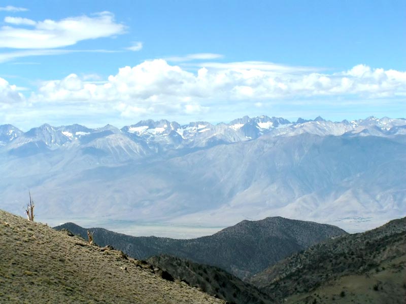 Whte Mountain Trip
