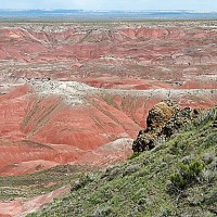 Painted Desert