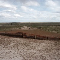 Petrified Forest