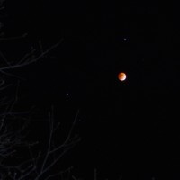 Lunar Eclipse