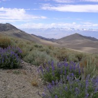 White Mountain Trip