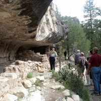 Skyscrapers at Walnut Canyon