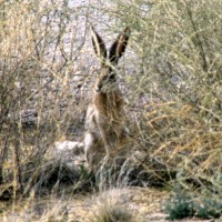 New Mexico 2006