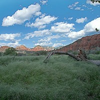 Sedona