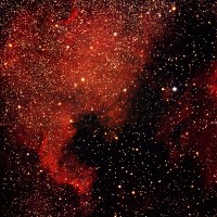 North American Nebula