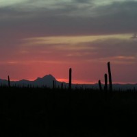 Sonoran Sunset