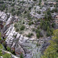 Walnut Canyon