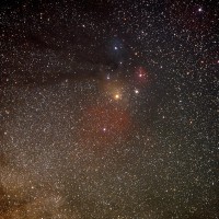 Scorpius