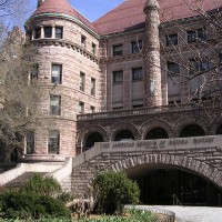 American Museum of Natural History