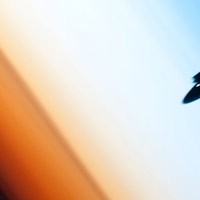 The 30-Year Legacy of NASA's Remarkable Spacecraft: The Space Shuttles
