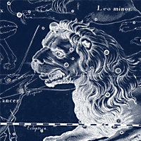 In Like a Lion… Out Like a Lamb