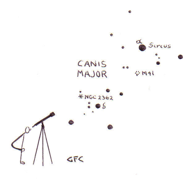 Canis Major