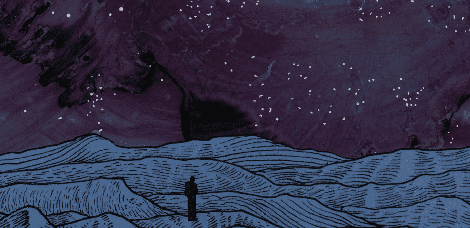 The Wild Dark: Finding the Night Sky in the Age of Light