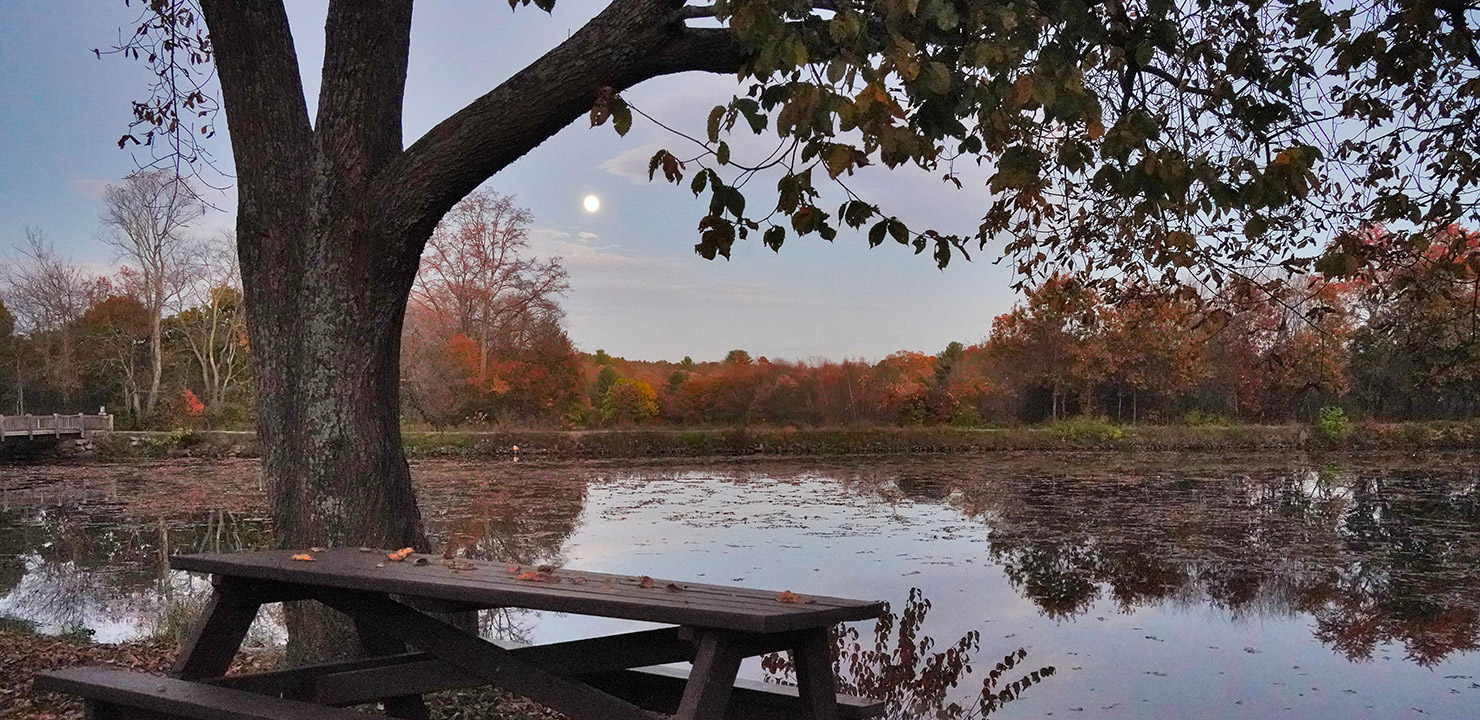 Night Sky at River Bend Farm: October 2023