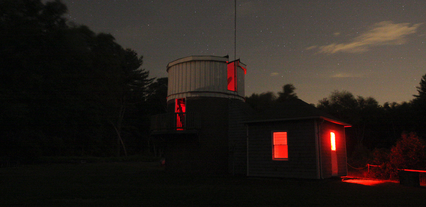 Bullfrogs, fireflies and mosquitoes signal the start of summertime observing