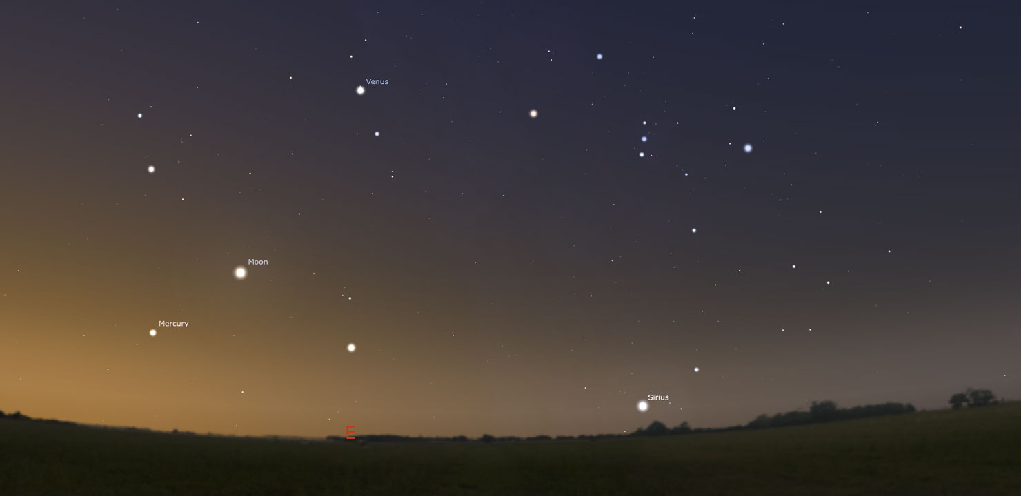 Asteroids, Meteors, & the Dog Days