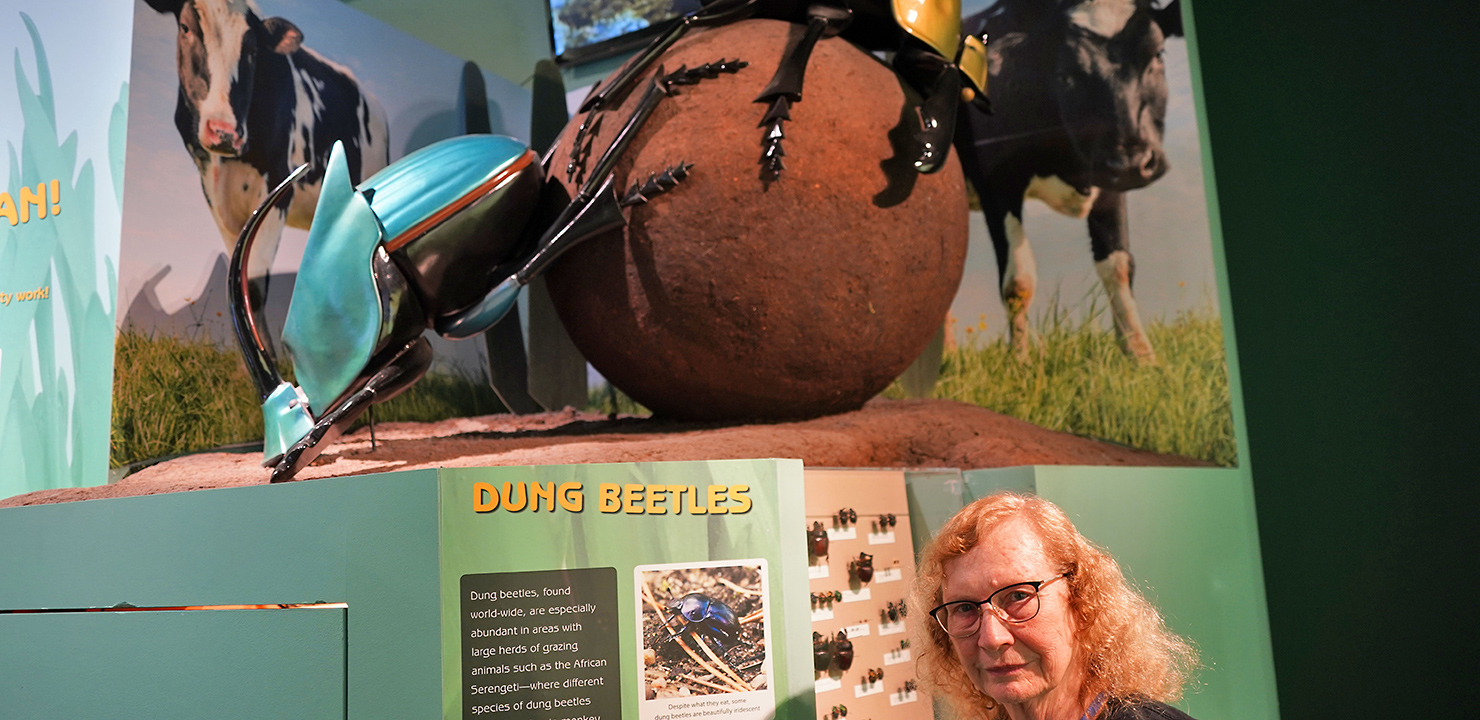 The Dung Beetle Problem