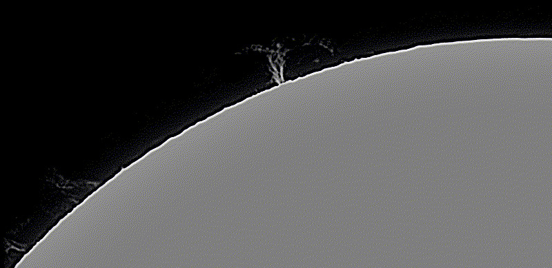 Solar Prominence: September 8, 2021