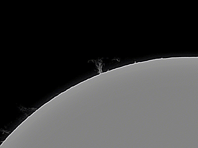 Animation of solar prominence