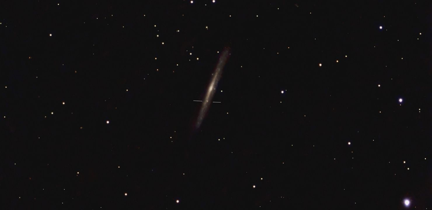 A Pair of Supernovae in Draco: April 2026