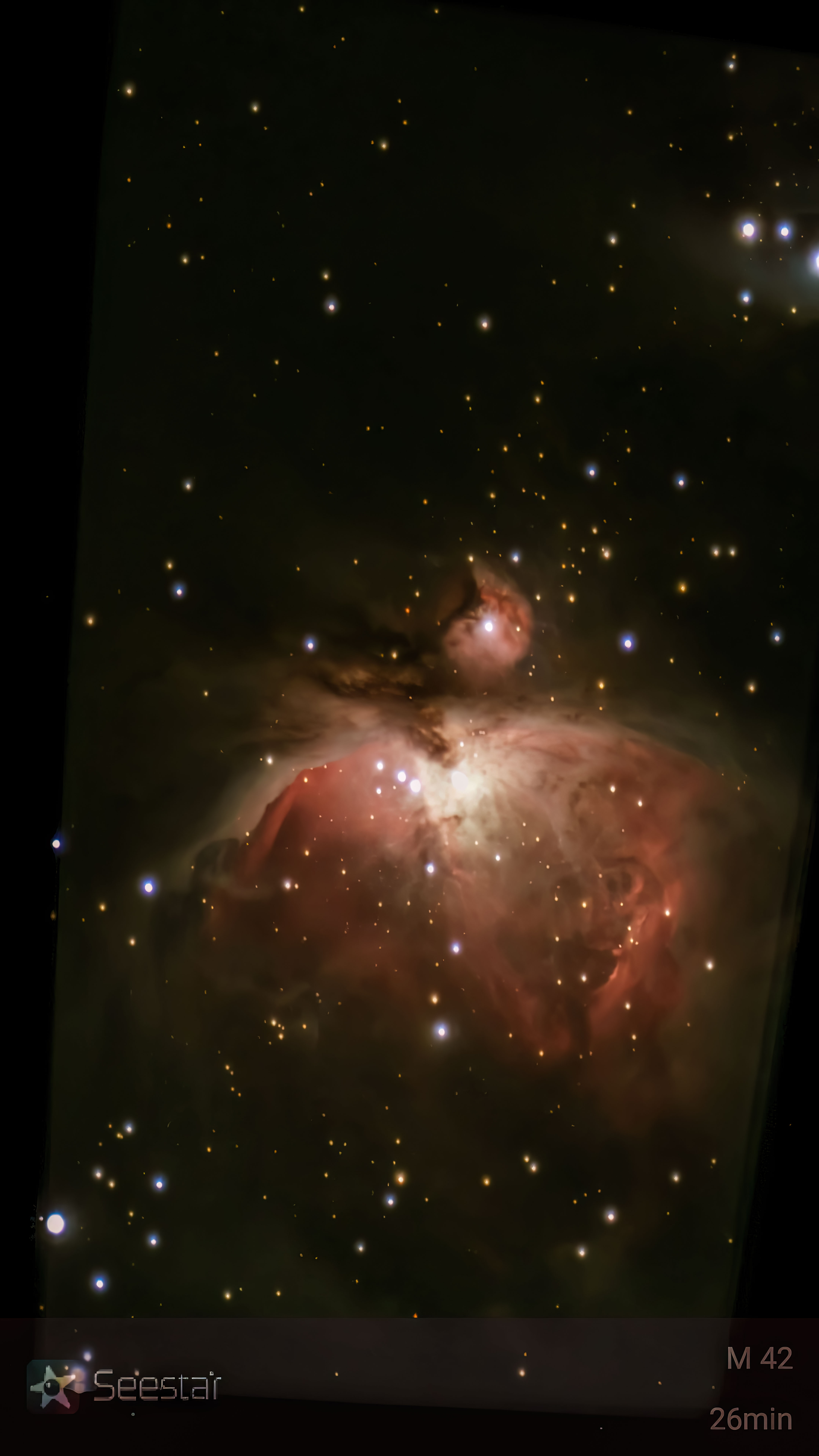 M42