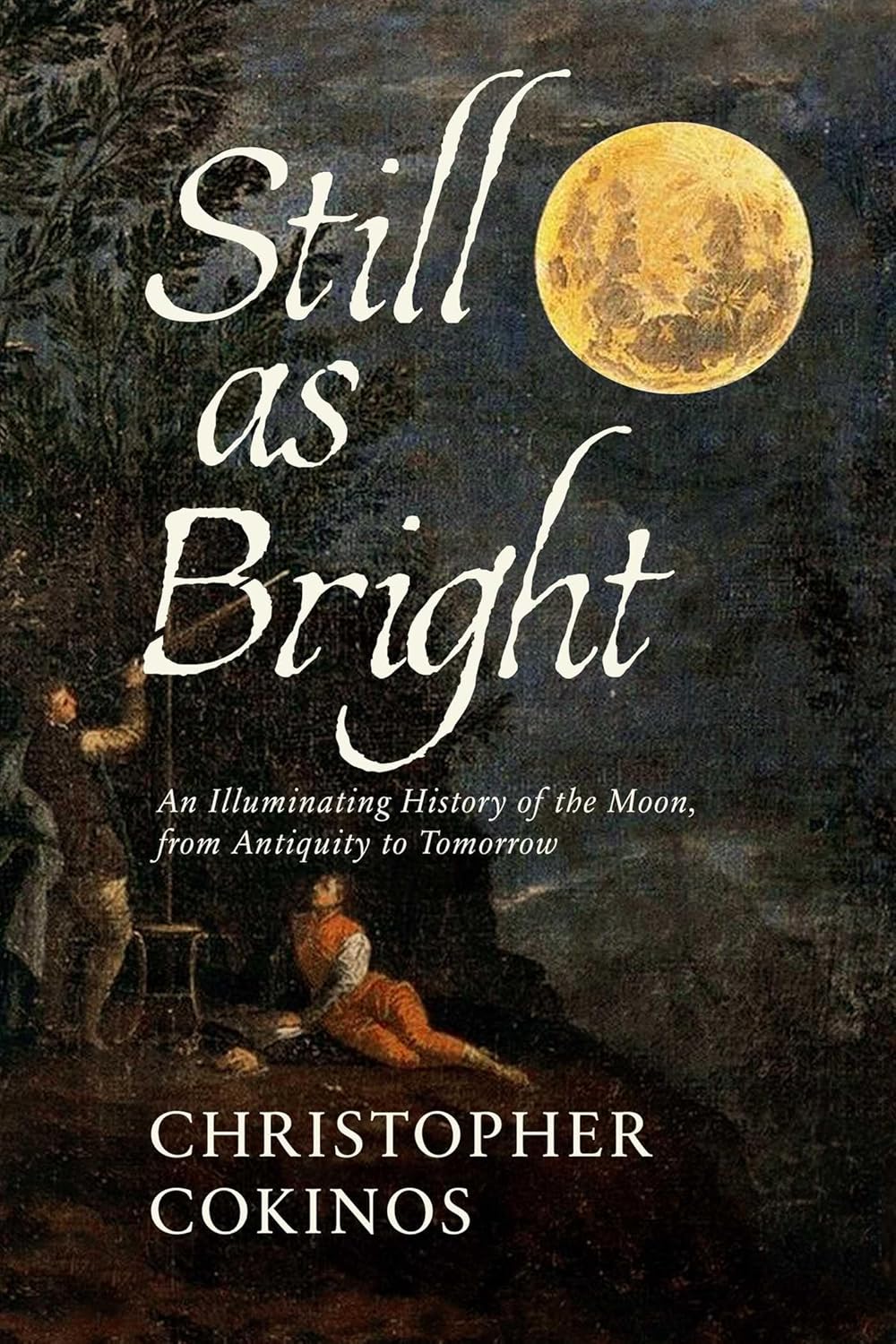 book cover: The Wild Dark