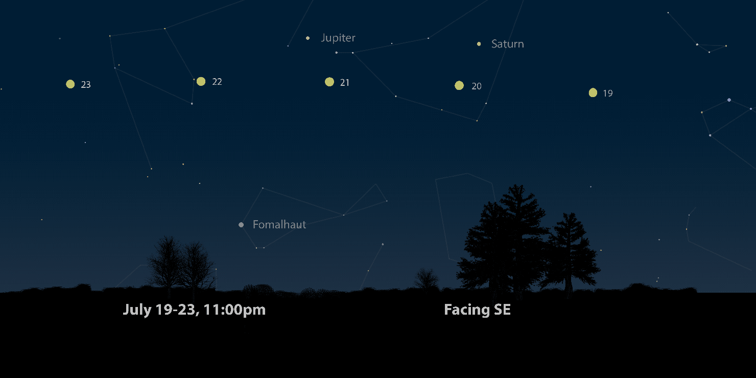 Skylights: August 2021