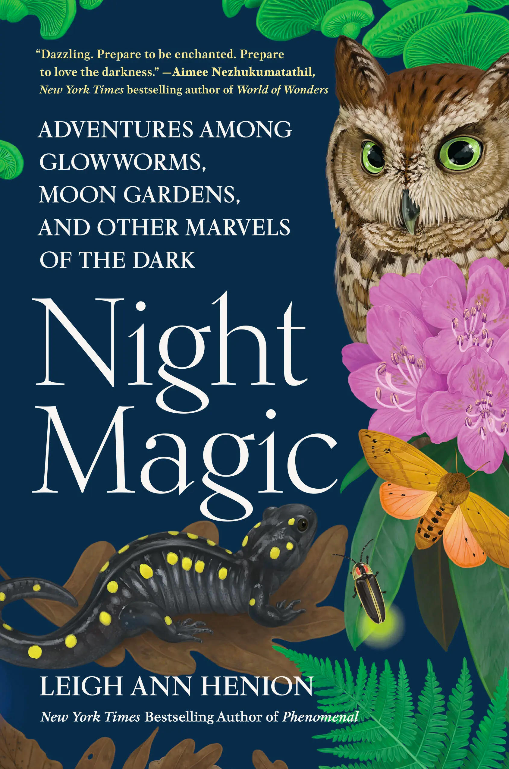 book cover: Star Gazers