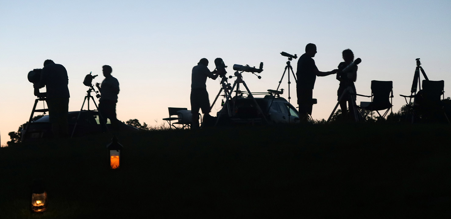 Starry, Starry Nite at Chase Farm Park